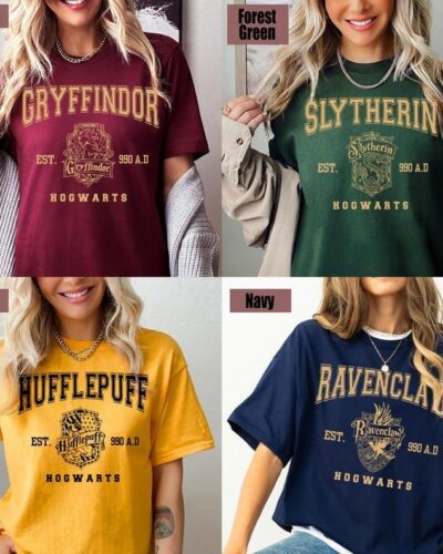 Vintage Wizard House Shirts, Hogwarts House Shirt, HP Wizard School Shirt, Universal Studios Shirt
