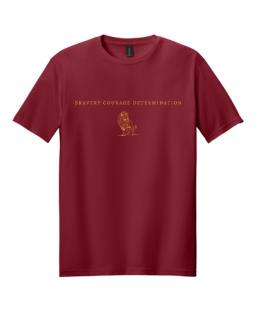 Wizarding School House T-Shirt, HP House Shirt, Universal Vacation T-Shirt, Wizard World Gift - Image 2
