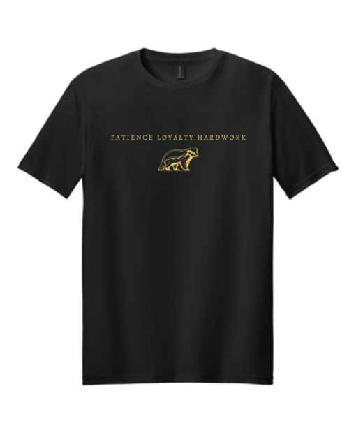 Wizarding School House T-Shirt, HP House Shirt, Universal Vacation T-Shirt, Wizard World Gift - Image 6