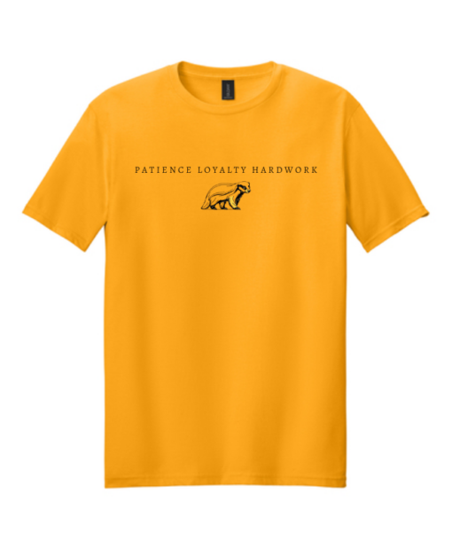 Wizarding School House T-Shirt, HP House Shirt, Universal Vacation T-Shirt, Wizard World Gift - Image 3