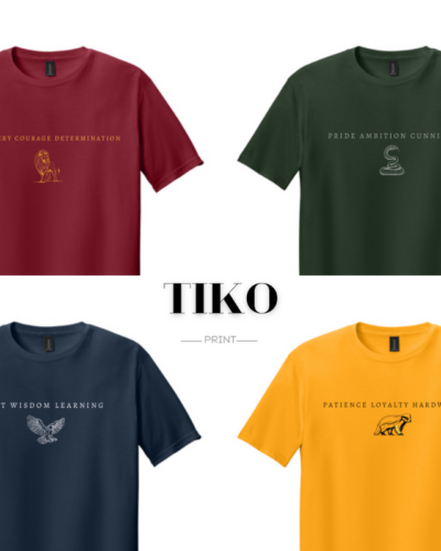 Wizarding School House T-Shirt, HP House Shirt, Universal Vacation T-Shirt, Wizard World Gift